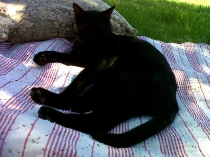 maison de campagne romantique