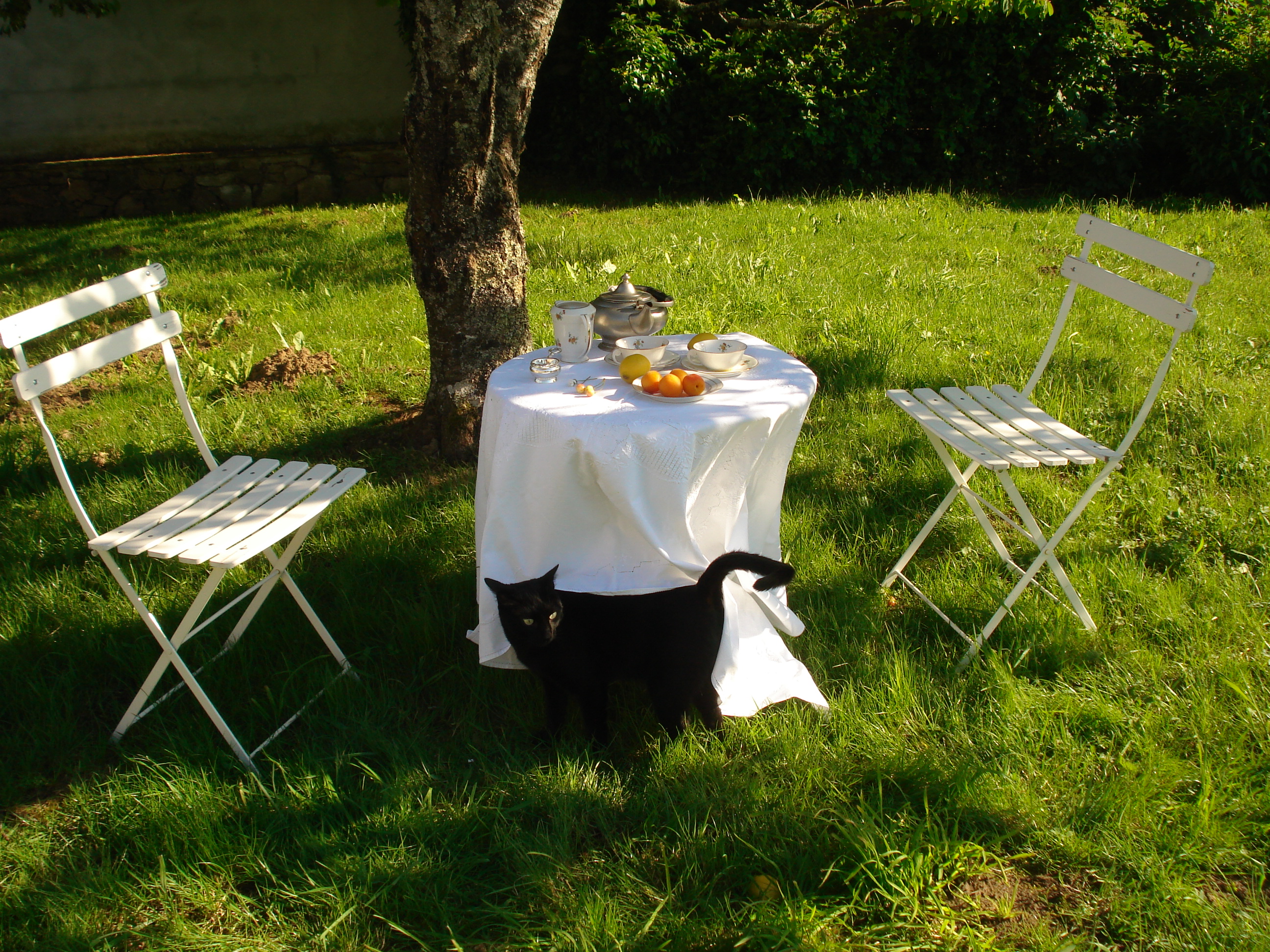 Etain du manoir théière