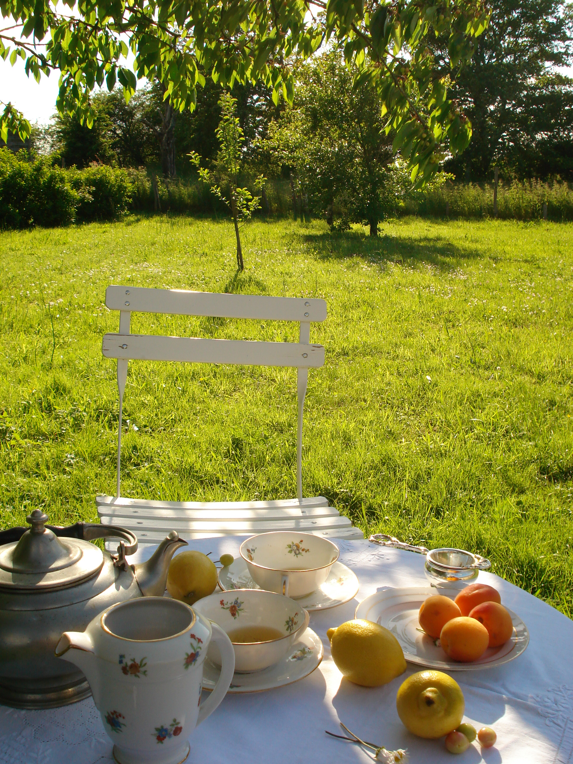 Etain du manoir théière