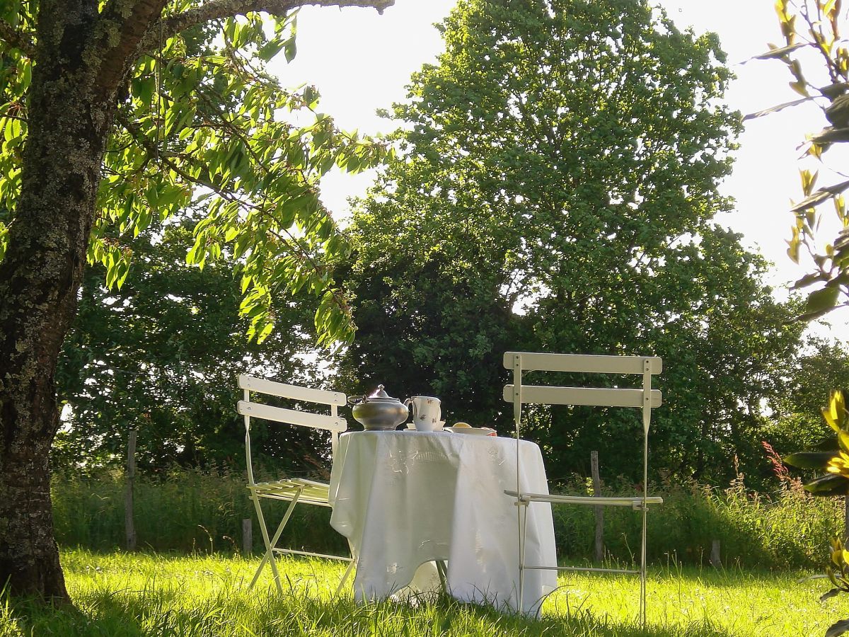 Pause thé au jardin | Tea Break in the&nbsp;Garden