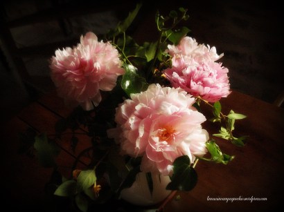 #whitecottagecharm #uncottageenfrance #campagnechic #frenchinterior #frenchfarmhousestyle #frenchcountry #frenchliving #fixerupperstyle #frenchcountrycottage #allthingsfrench #frenchcottage #farmhousevignette #cottagevignette #chippypaint #frenchdecoration #fermette #countrychic #rustique #rusticdecor #decorustic #cottagedecor #maisondecampagne #campagnedecoration #countryhomemag #brocante