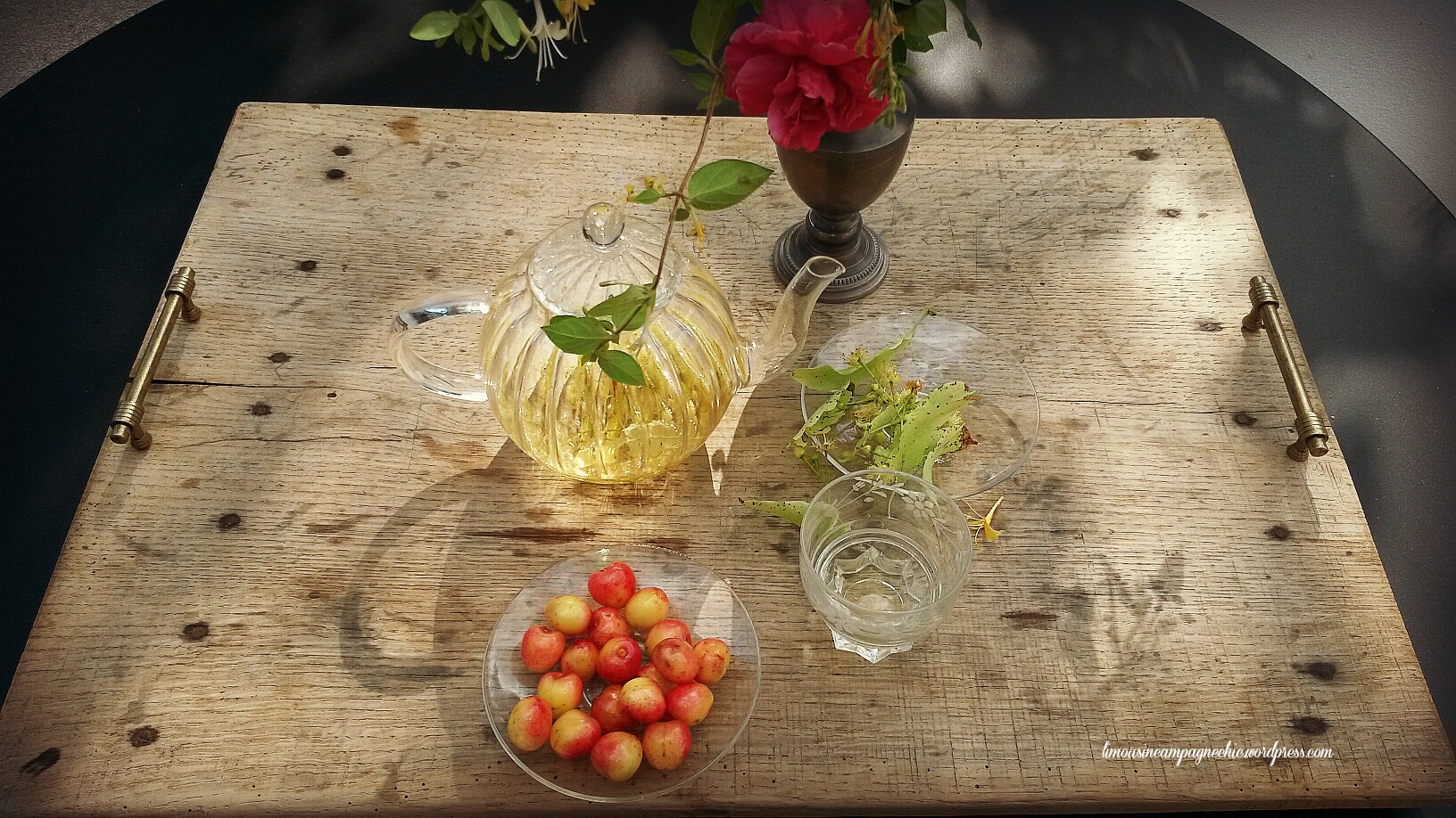 Tisane fleurs de tilleul