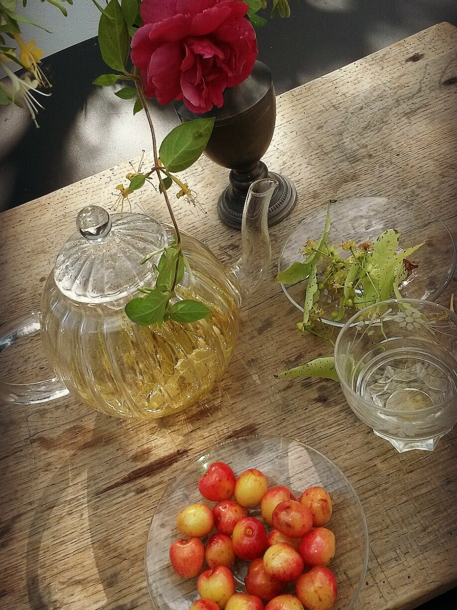 Une infusion de tilleul frais ? | A Cup of Fresh Lime Tree&nbsp;Tea?