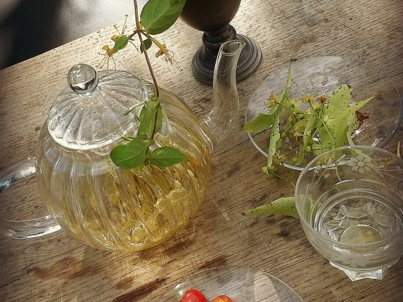 Une infusion de tilleul frais ? | A Cup of Fresh Lime Tree&nbsp;Tea?