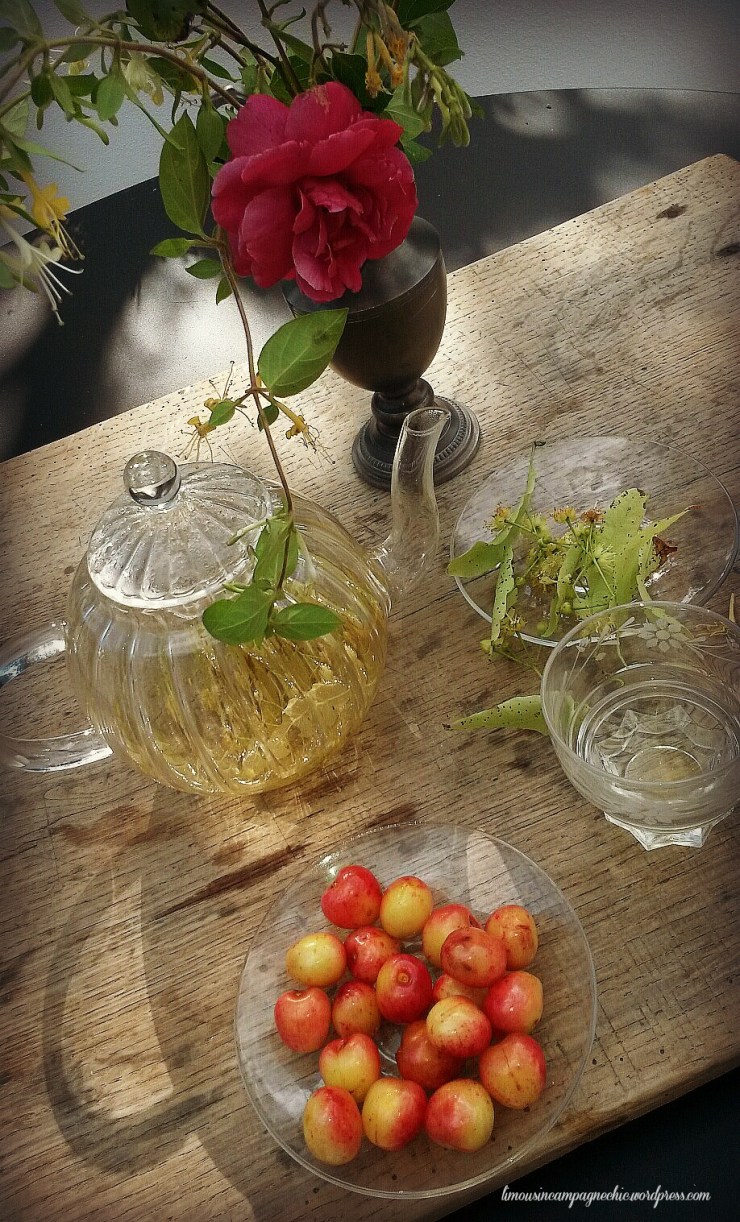 Une infusion de tilleul frais ? | A Cup of Fresh Lime Tree&nbsp;Tea?