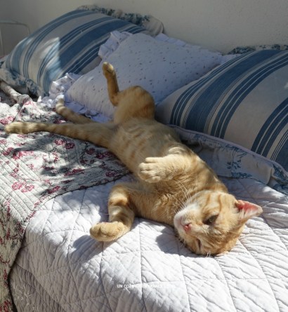 Boutis romantique - Romantic boutis