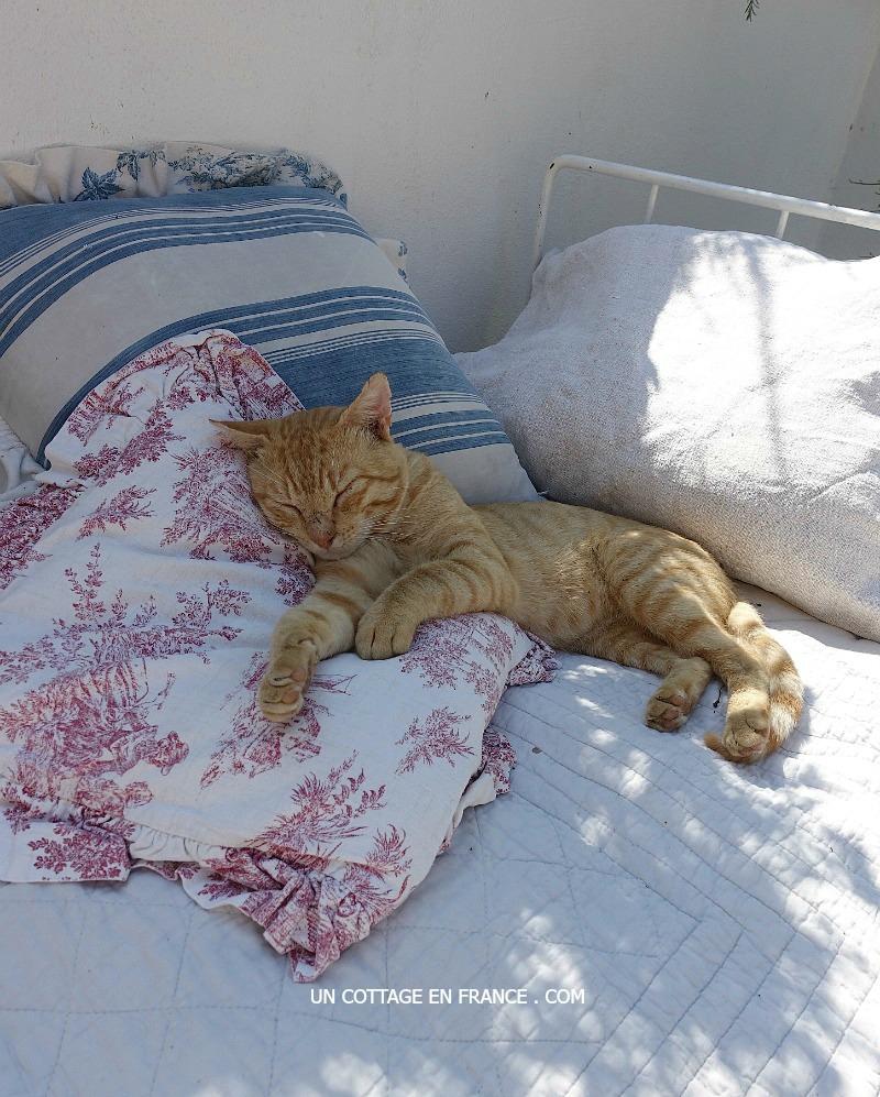 Boutis romantique - Romantic boutis