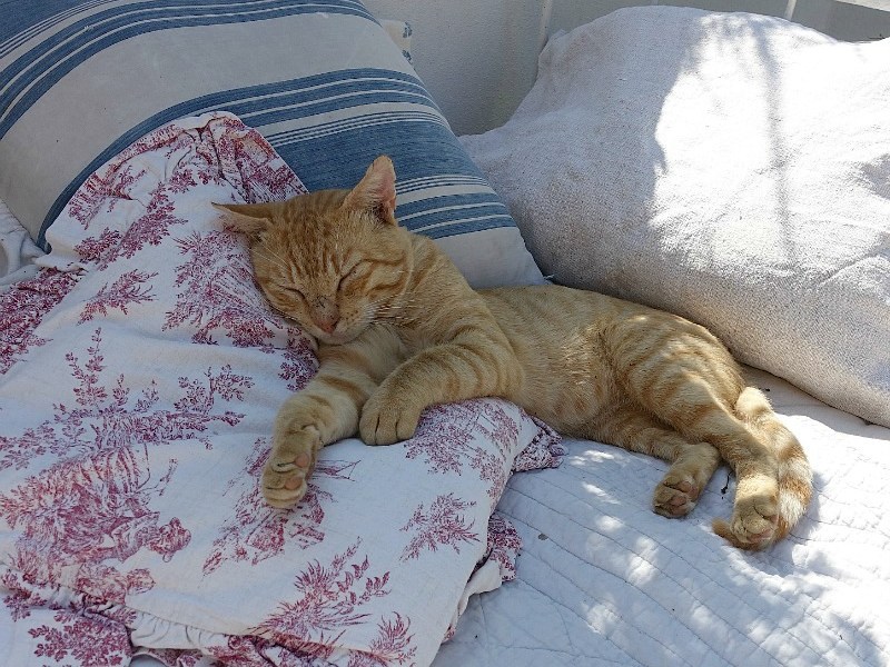 Parfait pour la sieste : un boutis romantique | Romantic&nbsp;Boutis