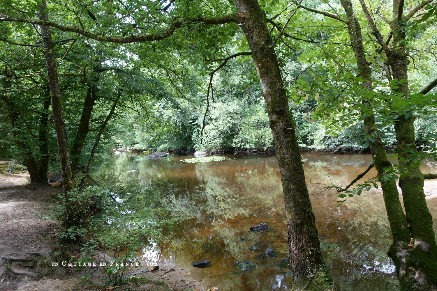 #whitecottagecharm #uncottageenfrance #campagnechic #frenchinterior #frenchfarmhousestyle #frenchcountry #frenchliving #fixerupperstyle #frenchcountrycottage #allthingsfrench #frenchcottage #farmhousevignette #cottagevignette #chippypaint #frenchdecoration #fermette #countrychic #rustique #rusticdecor #decorustic #cottagedecor #maisondecampagne #campagnedecoration #countryhomemag #brocante