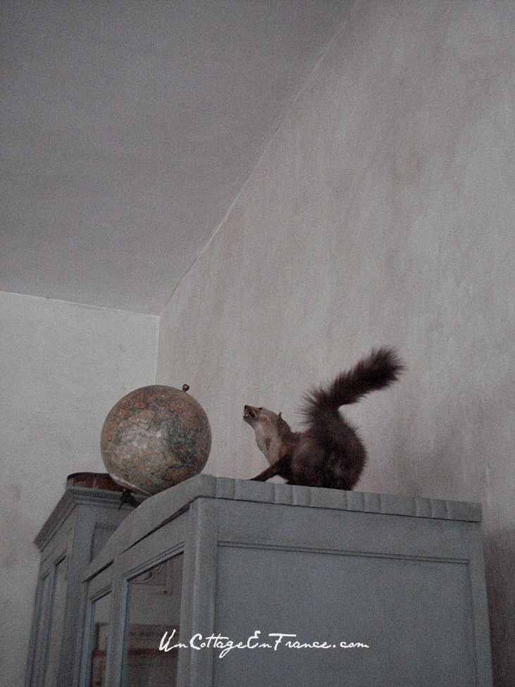 Les armoires de la salle de classe de Montrol Senard en Haute Vienne