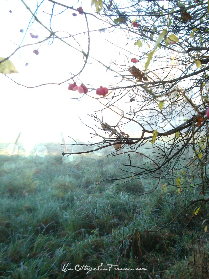 #whitecottagecharm #uncottageenfrance #campagnechic #frenchinterior #frenchfarmhousestyle #frenchcountry #frenchliving #fixerupperstyle #frenchcountrycottage #allthingsfrench #frenchcottage #farmhousevignette #cottagevignette #chippypaint #frenchdecoration #fermette #countrychic #rustique #rusticdecor #decorustic #cottagedecor #maisondecampagne #campagnedecoration #countryhomemag #brocante