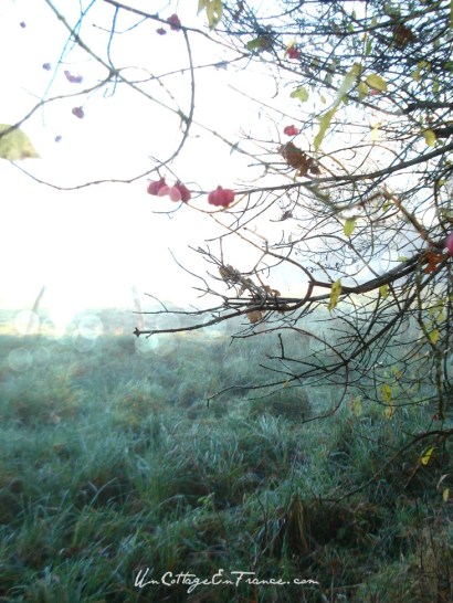 #whitecottagecharm #uncottageenfrance #campagnechic #frenchinterior #frenchfarmhousestyle #frenchcountry #frenchliving #fixerupperstyle #frenchcountrycottage #allthingsfrench #frenchcottage #farmhousevignette #cottagevignette #chippypaint #frenchdecoration #fermette #countrychic #rustique #rusticdecor #decorustic #cottagedecor #maisondecampagne #campagnedecoration #countryhomemag #brocante