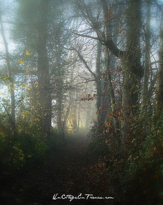 Promenade en Limousin au petit matin - Early morning stroll in Limousin