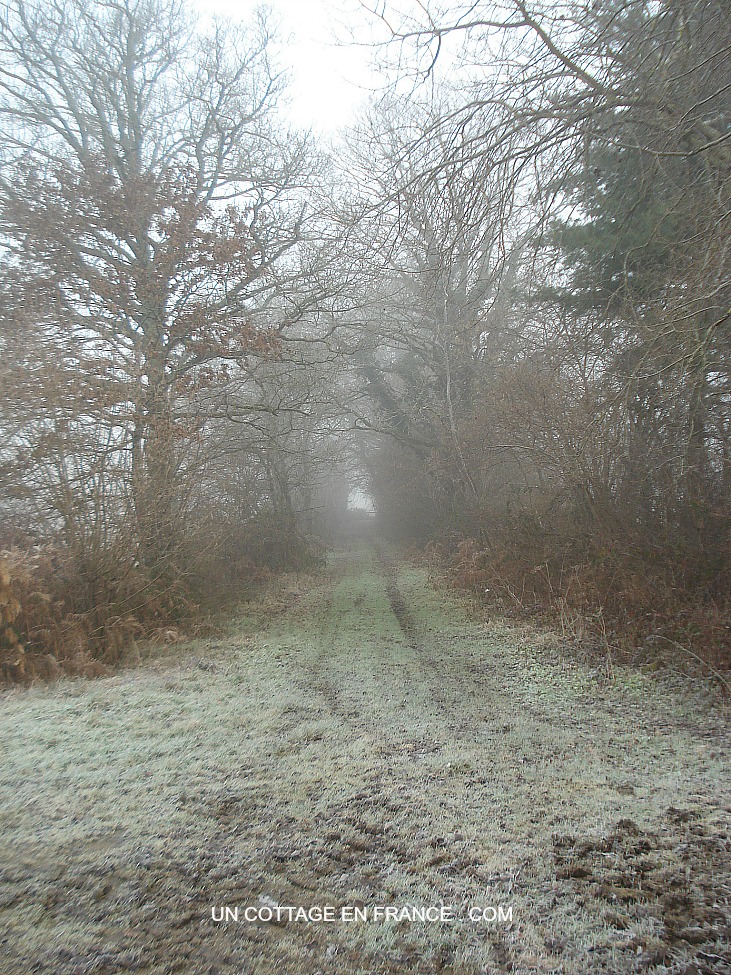 Bocage limousin en hiver haute vienne