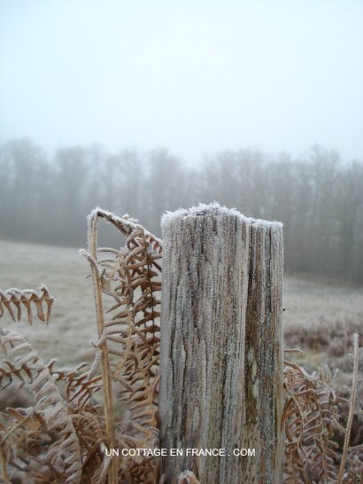 #whitecottagecharm #uncottageenfrance #campagnechic #frenchinterior #frenchfarmhousestyle #frenchcountry #frenchliving #fixerupperstyle #frenchcountrycottage #allthingsfrench #frenchcottage #farmhousevignette #cottagevignette #chippypaint #frenchdecoration #fermette #countrychic #rustique #rusticdecor #decorustic #cottagedecor #maisondecampagne #campagnedecoration #countryhomemag #brocante
