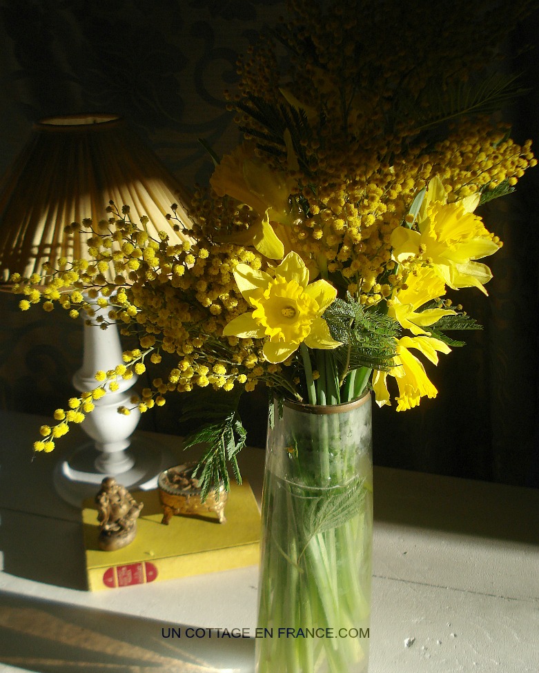 Bouquet fleurs jaunes cottage