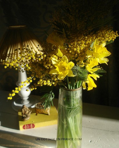 Bouquet fleurs jaunes cottage