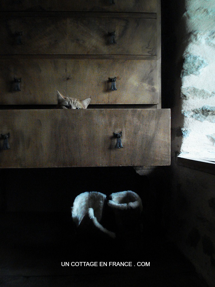 #whitecottagecharm #uncottageenfrance #campagnechic #frenchinterior #frenchfarmhousestyle #frenchcountry #frenchliving #fixerupperstyle #frenchcountrycottage #allthingsfrench #frenchcottage #farmhousevignette #cottagevignette #chippypaint #frenchdecoration #fermette #countrychic #rustique #rusticdecor #decorustic #cottagedecor #maisondecampagne #campagnedecoration #countryhomemag #brocante
