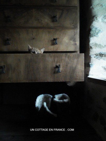 #whitecottagecharm #uncottageenfrance #campagnechic #frenchinterior #frenchfarmhousestyle #frenchcountry #frenchliving #fixerupperstyle #frenchcountrycottage #allthingsfrench #frenchcottage #farmhousevignette #cottagevignette #chippypaint #frenchdecoration #fermette #countrychic #rustique #rusticdecor #decorustic #cottagedecor #maisondecampagne #campagnedecoration #countryhomemag #brocante