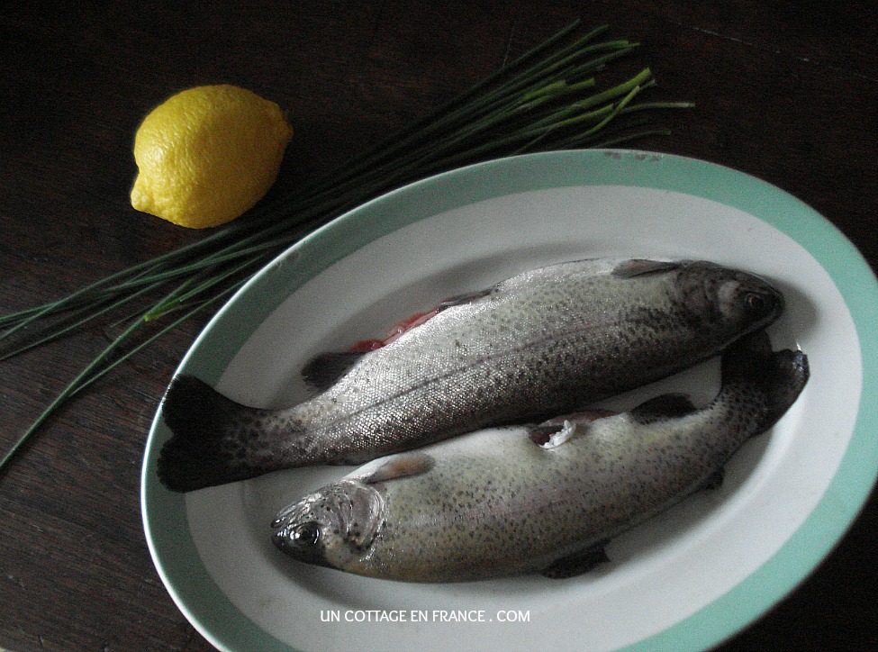 Ouverture de la peche a la truite 2015