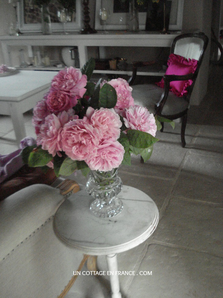 Bouquet de roses David Austin