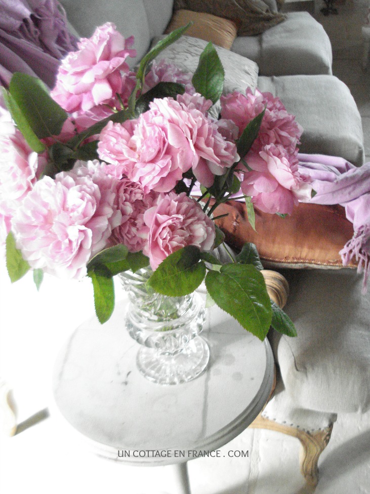 Bouquet de roses David Austin
