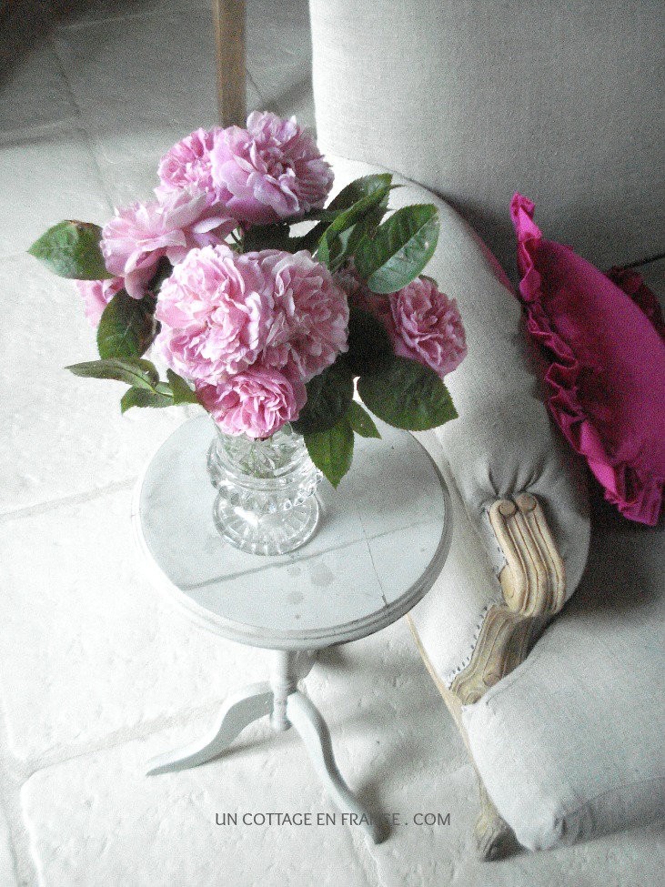 [Bouquet de roses David Austin