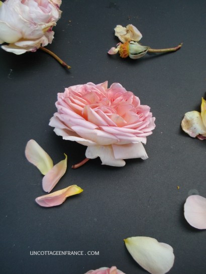 colette malpaud #whitecottagecharm #uncottageenfrance #campagnechic #frenchinterior #frenchfarmhousestyle #frenchcountry #frenchliving #fixerupperstyle #frenchcountrycottage #allthingsfrench #frenchcottage #farmhousevignette #cottagevignette #chippypaint #frenchdecoration #fermette #countrychic #rustique #rusticdecor #decorustic #cottagedecor #maisondecampagne #campagnedecoration #countryhomemag #brocante