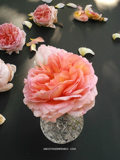 Rose romantique cottage