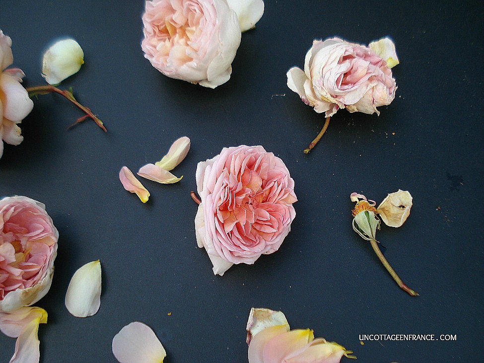 #whitecottagecharm #uncottageenfrance #campagnechic #frenchinterior #frenchfarmhousestyle #frenchcountry #frenchliving #fixerupperstyle #frenchcountrycottage #allthingsfrench #frenchcottage #farmhousevignette #cottagevignette #chippypaint #frenchdecoration #fermette #countrychic #rustique #rusticdecor #decorustic #cottagedecor #maisondecampagne #campagnedecoration #countryhomemag #brocante