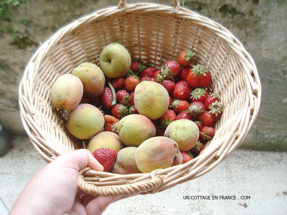 Le panier de fraises et de peches nouvelles