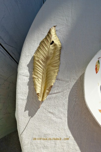 Foie gras aux épices Fossé Saint Ange, Blog campagne chic,