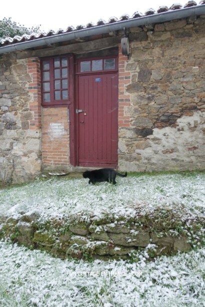 Une ambiance en BRUN, VERT et BLANC avec des roses blanches (A white, green and brown ambiance with white roses)