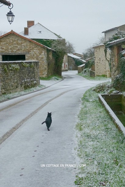 #whitecottagecharm #uncottageenfrance #campagnechic #frenchinterior #frenchfarmhousestyle #frenchcountry #frenchliving #fixerupperstyle #frenchcountrycottage #allthingsfrench #frenchcottage #farmhousevignette #cottagevignette #chippypaint #frenchdecoration #fermette #countrychic #rustique #rusticdecor #decorustic #cottagedecor #maisondecampagne #campagnedecoration #countryhomemag #brocante
