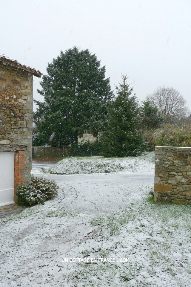 Une ambiance en BRUN, VERT et BLANC avec des roses blanches (A white, green and brown ambiance with white roses)