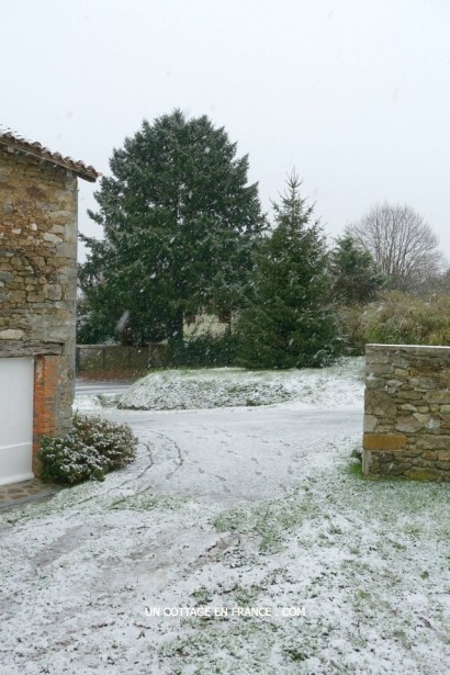 Une ambiance en BRUN, VERT et BLANC avec des roses blanches (A white, green and brown ambiance with white roses)