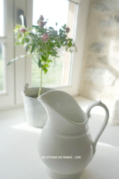 Un MINI ROSIER dans la salle de bain (A mini rosetree in the bathroom)