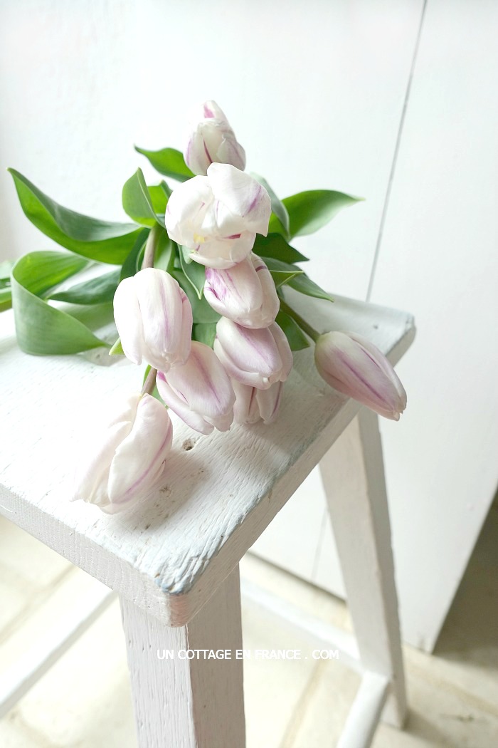 Cottage shabby chic blanc et rose