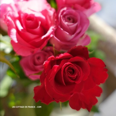 #whitecottagecharm #uncottageenfrance #campagnechic #frenchinterior #frenchfarmhousestyle #frenchcountry #frenchliving #fixerupperstyle #frenchcountrycottage #allthingsfrench #frenchcottage #farmhousevignette #cottagevignette #chippypaint #frenchdecoration #fermette #countrychic #rustique #rusticdecor #decorustic #cottagedecor #maisondecampagne #campagnedecoration #countryhomemag #brocante