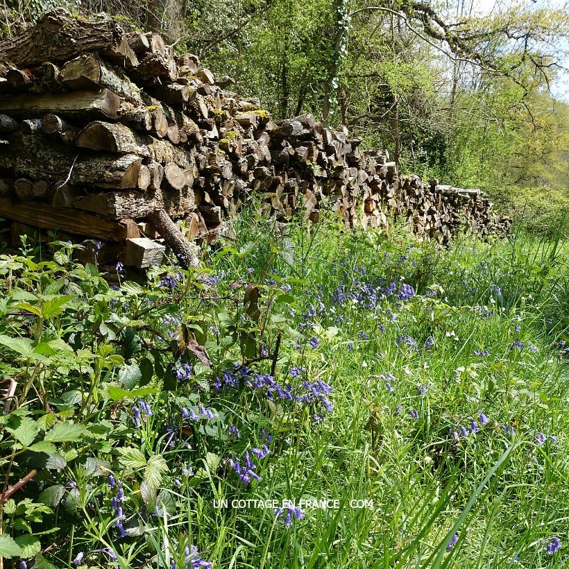 limousin promenade printemps vacances franche