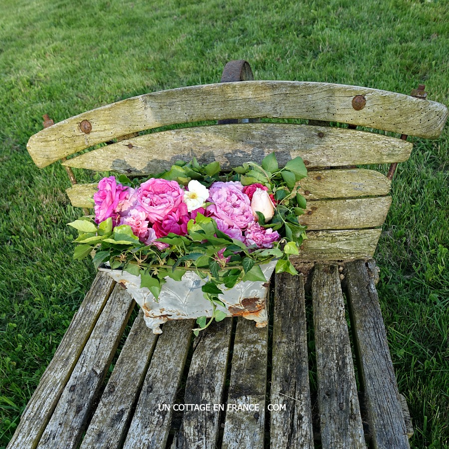 Roses de mai shabby chic, blog shabby chic rustique chic