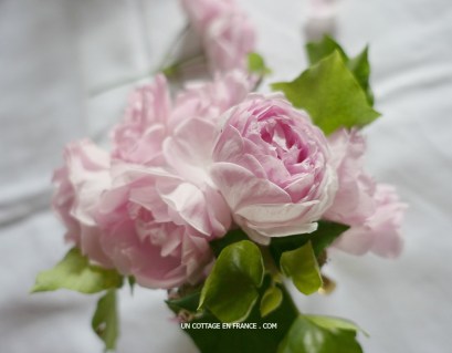 #whitecottagecharm #uncottageenfrance #campagnechic #frenchinterior #frenchfarmhousestyle #frenchcountry #frenchliving #fixerupperstyle #frenchcountrycottage #allthingsfrench #frenchcottage #farmhousevignette #cottagevignette #chippypaint #frenchdecoration #fermette #countrychic #rustique #rusticdecor #decorustic #cottagedecor #maisondecampagne #campagnedecoration #countryhomemag #brocante