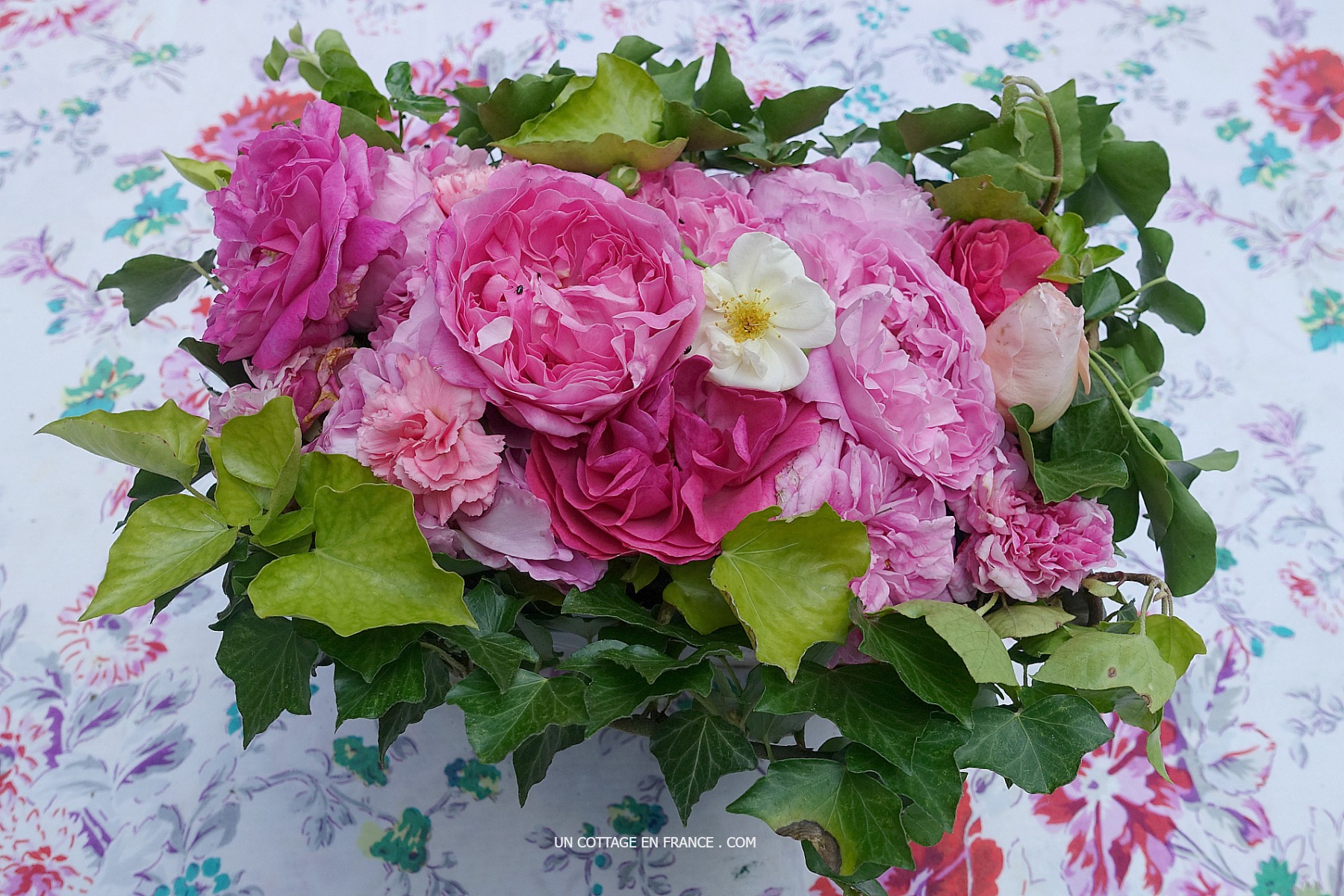 Roses de mai shabby chic, blog shabby chic rustique chic