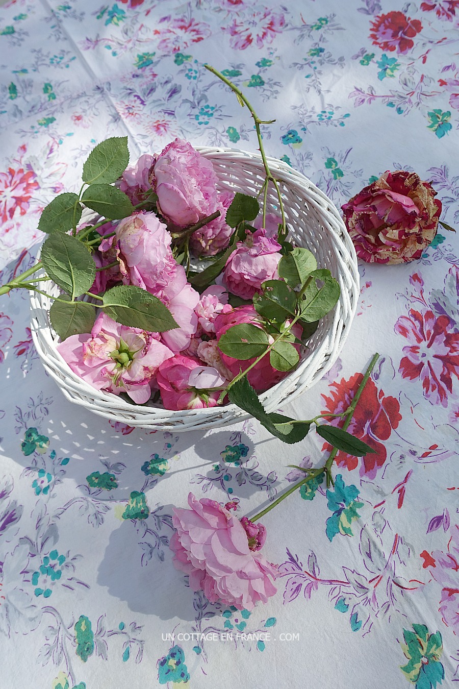 Roses de mai shabby chic, blog shabby chic rustique chic