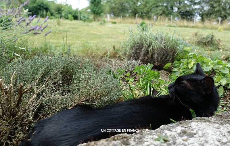 Blog maison et jardin France