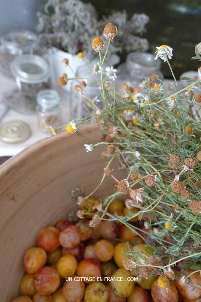 Blog french cottage,, campagne chic