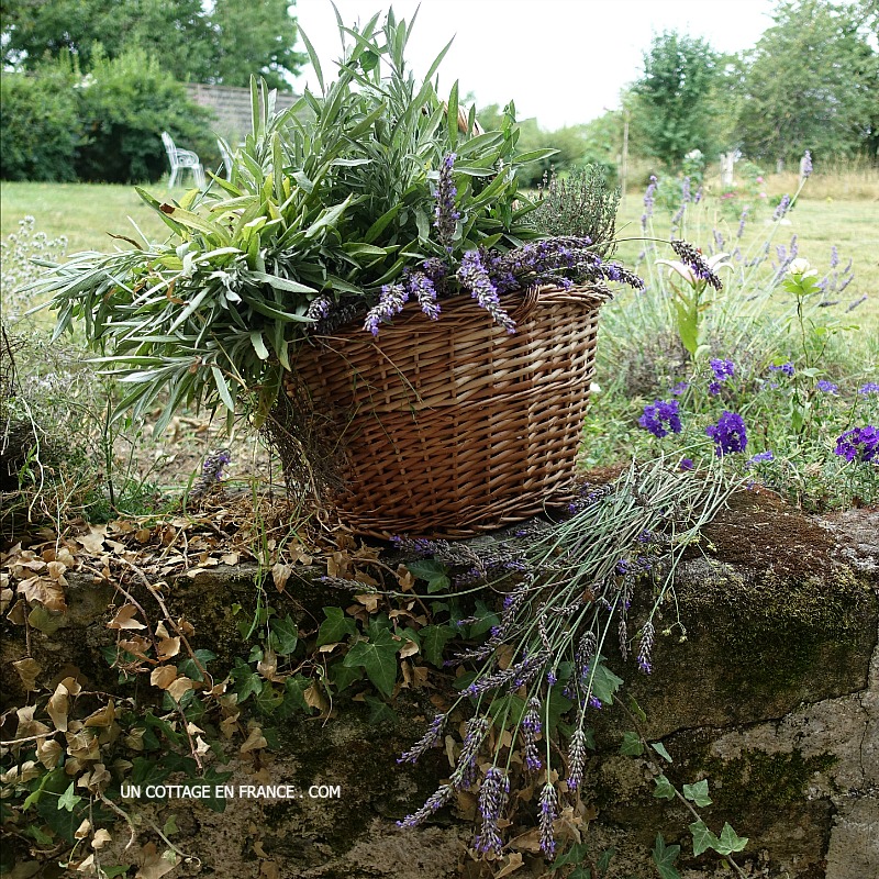 Blog maison et jardin France