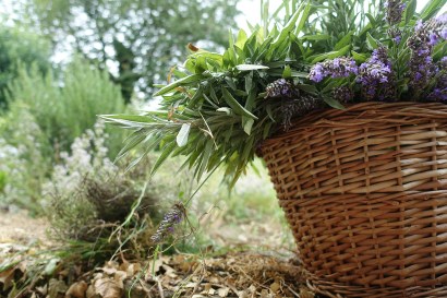 Blog maison et jardin France