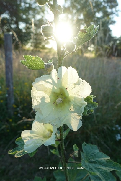 Blog campagne chic, French vintage blog