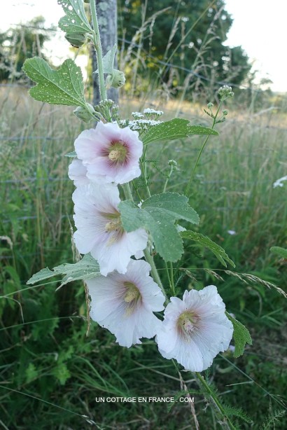 Blog campagne chic, French vintage blog